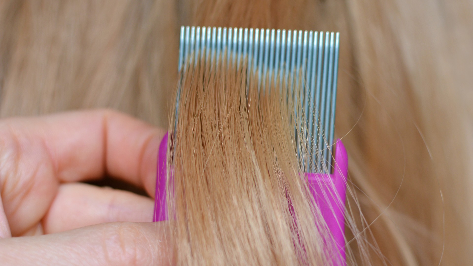Fine-toothed nit comb moving through hair during a careful comb-out