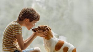 Child gently touches noses with the family dog at a sunlit window in a warm home