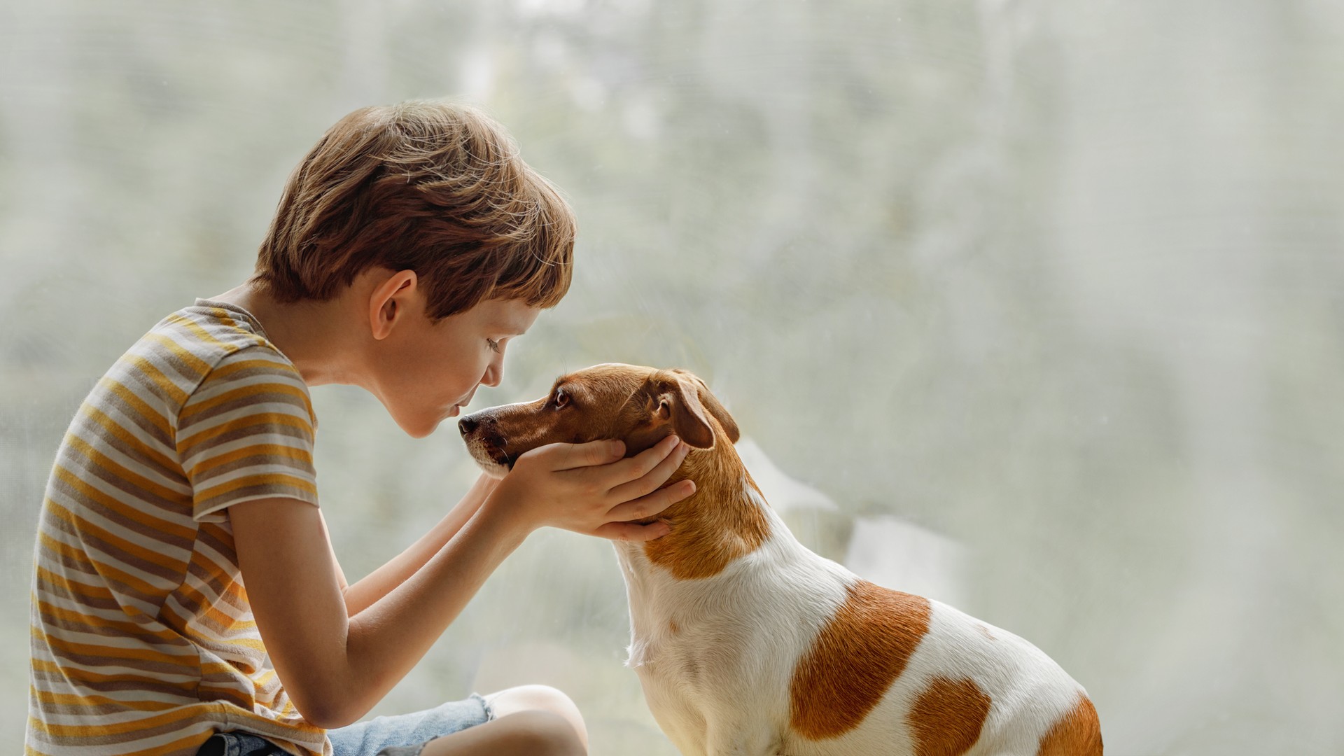 Child gently touches noses with the family dog at a sunlit window in a warm home