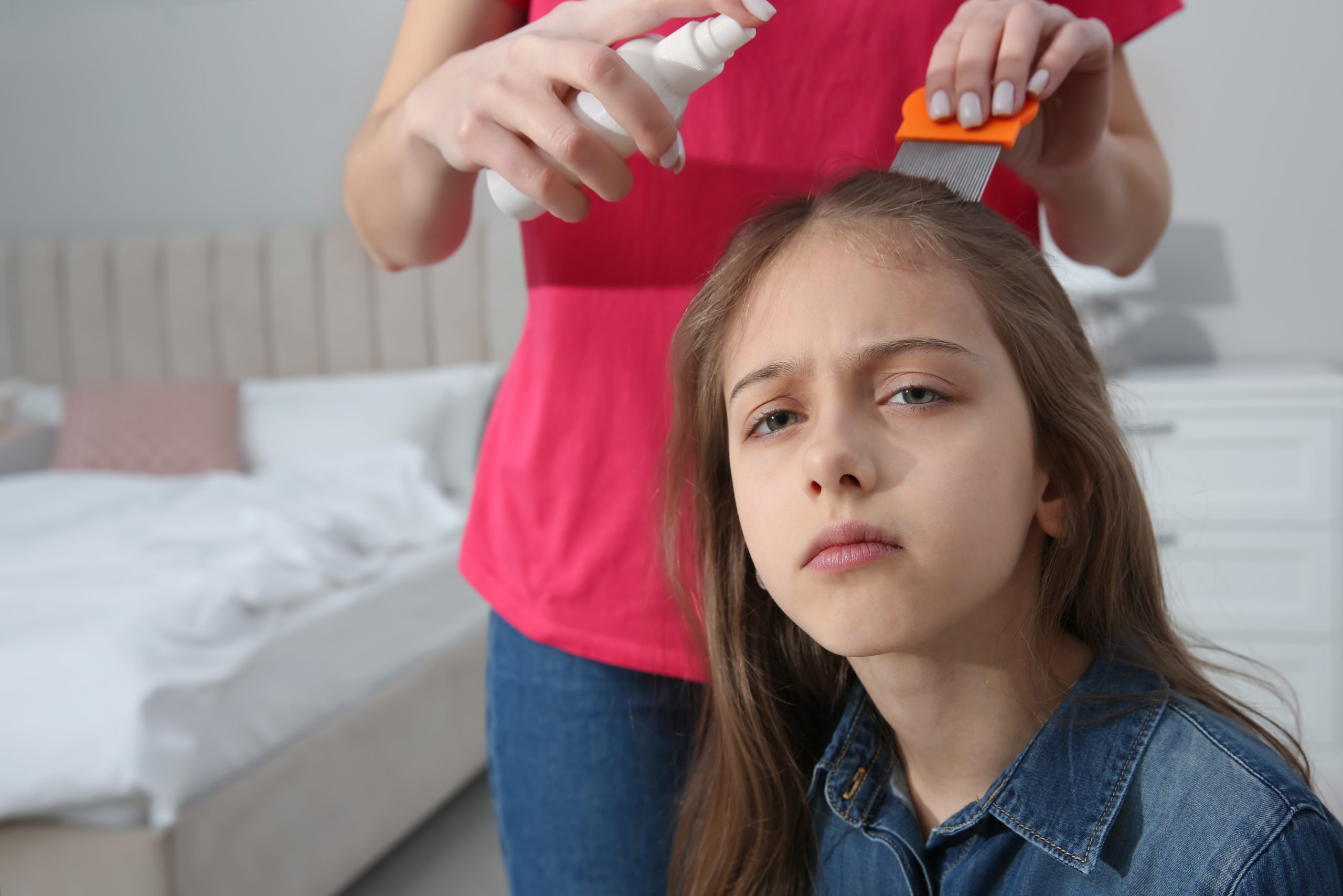 Ocean County parent using a fine-tooth metal nit comb on a childs hair with a drugstore lice shampoo box in the background, illustrating that the OTC round did not finish the case.