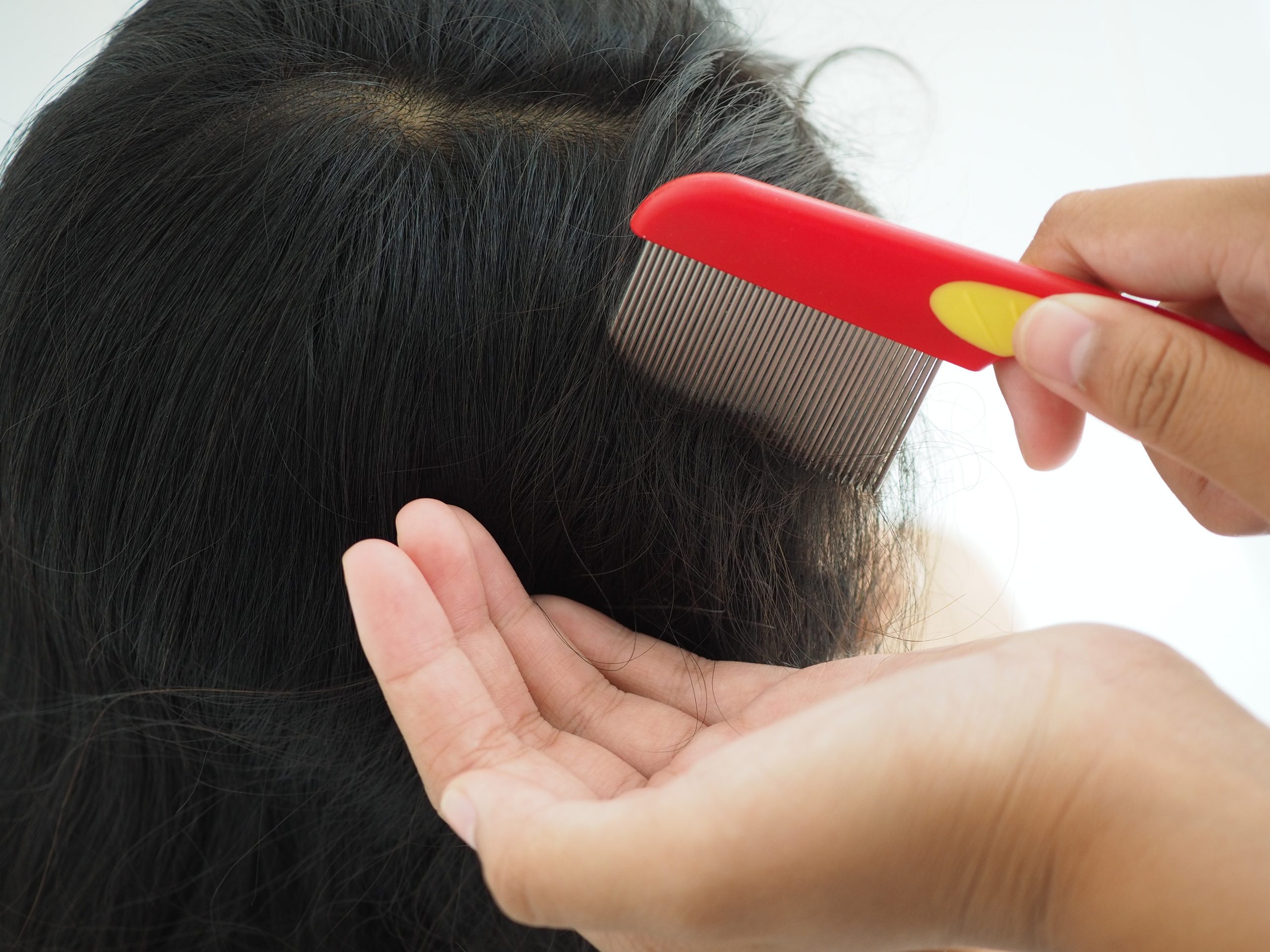 Mother checking child head for lice with a comb.