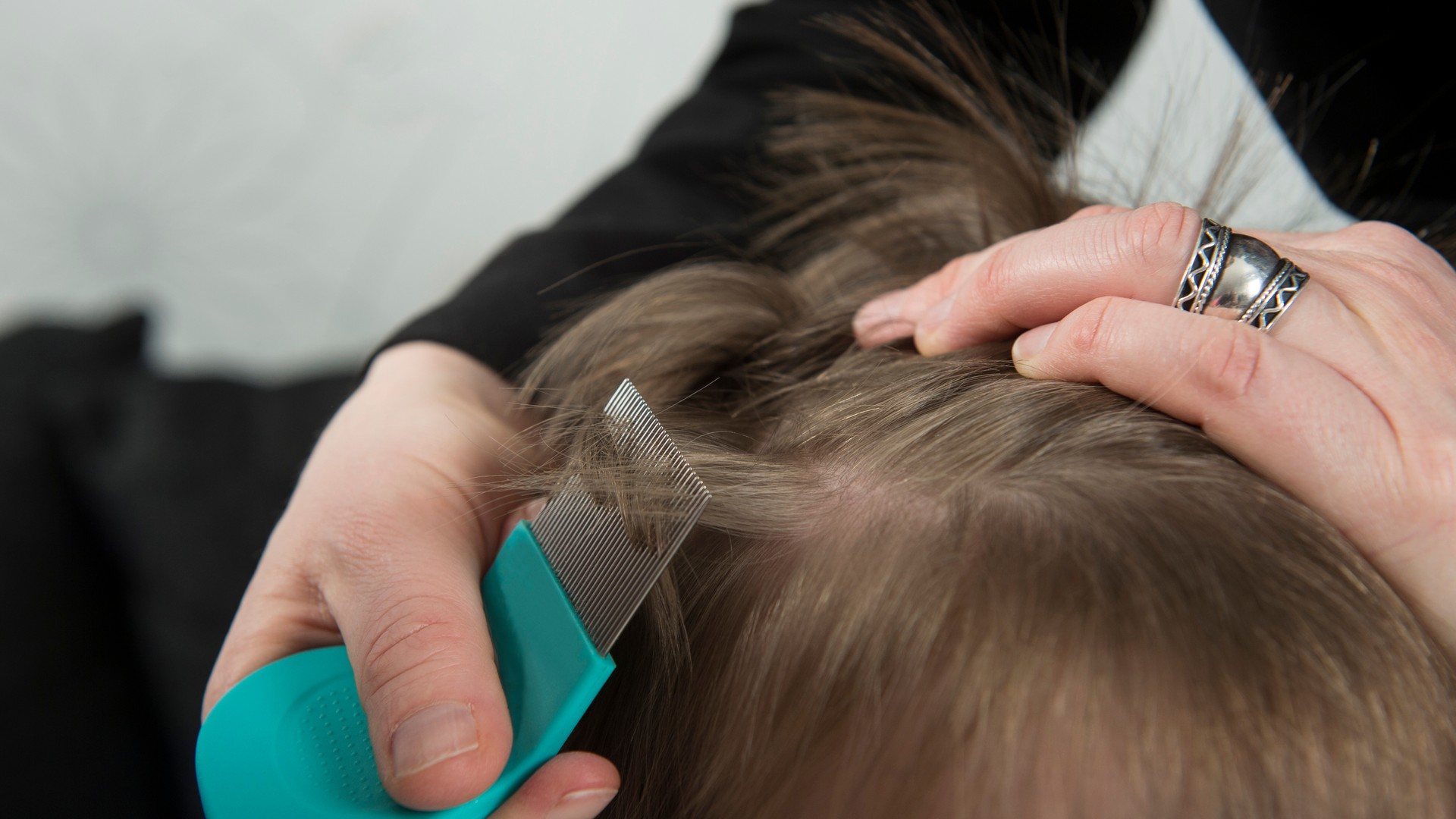 Professional nit-comb demonstration for school and camp lice education
