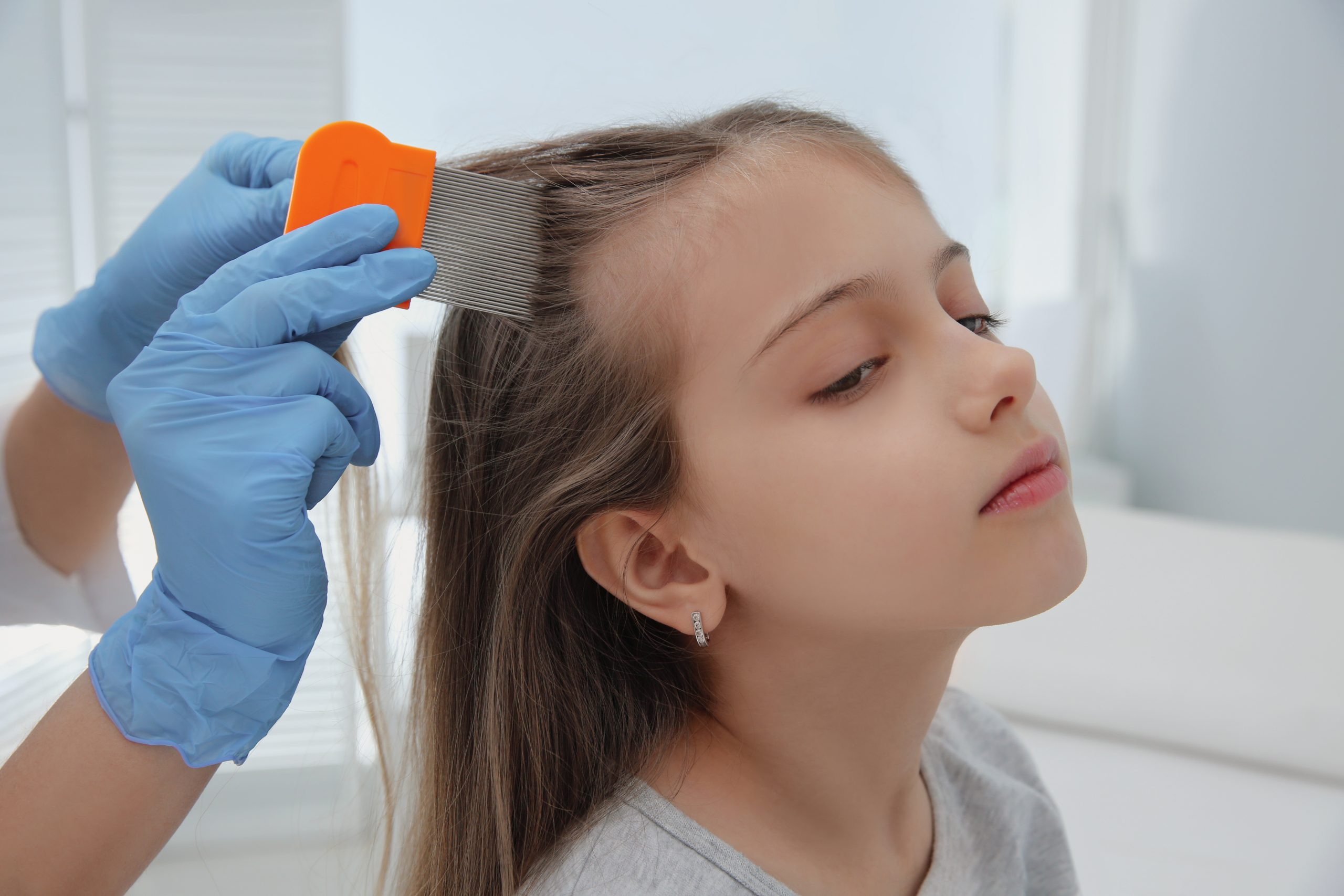 Certified technician using a nit comb on a child's hair during a professional lice clinic comb-out.