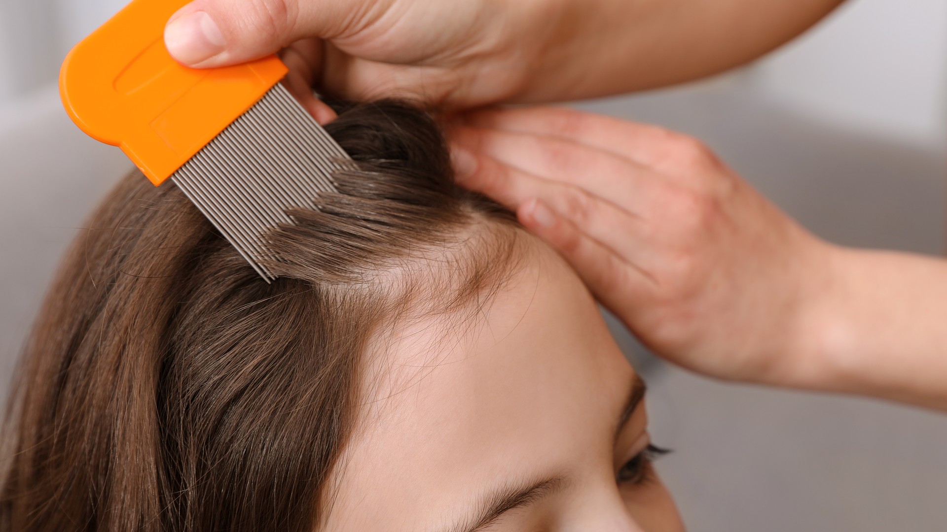 Olive Oil Belongs in the Comb-Out, Not an Overnight Soak